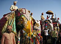 The Jaipur Elephant Festival