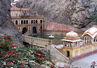 The Monkey Palace
